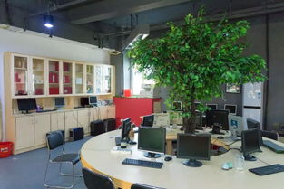 开平专属创业空间 广阔天地，大有可为