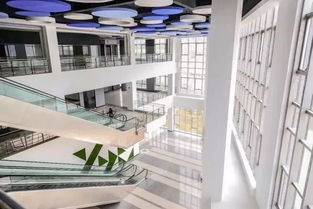 想创业不用愁 厦门管家式众创空间，一站式服务助力创业者腾飞